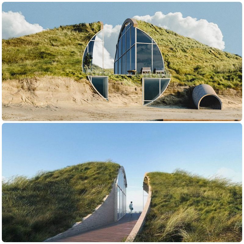 collage dune house